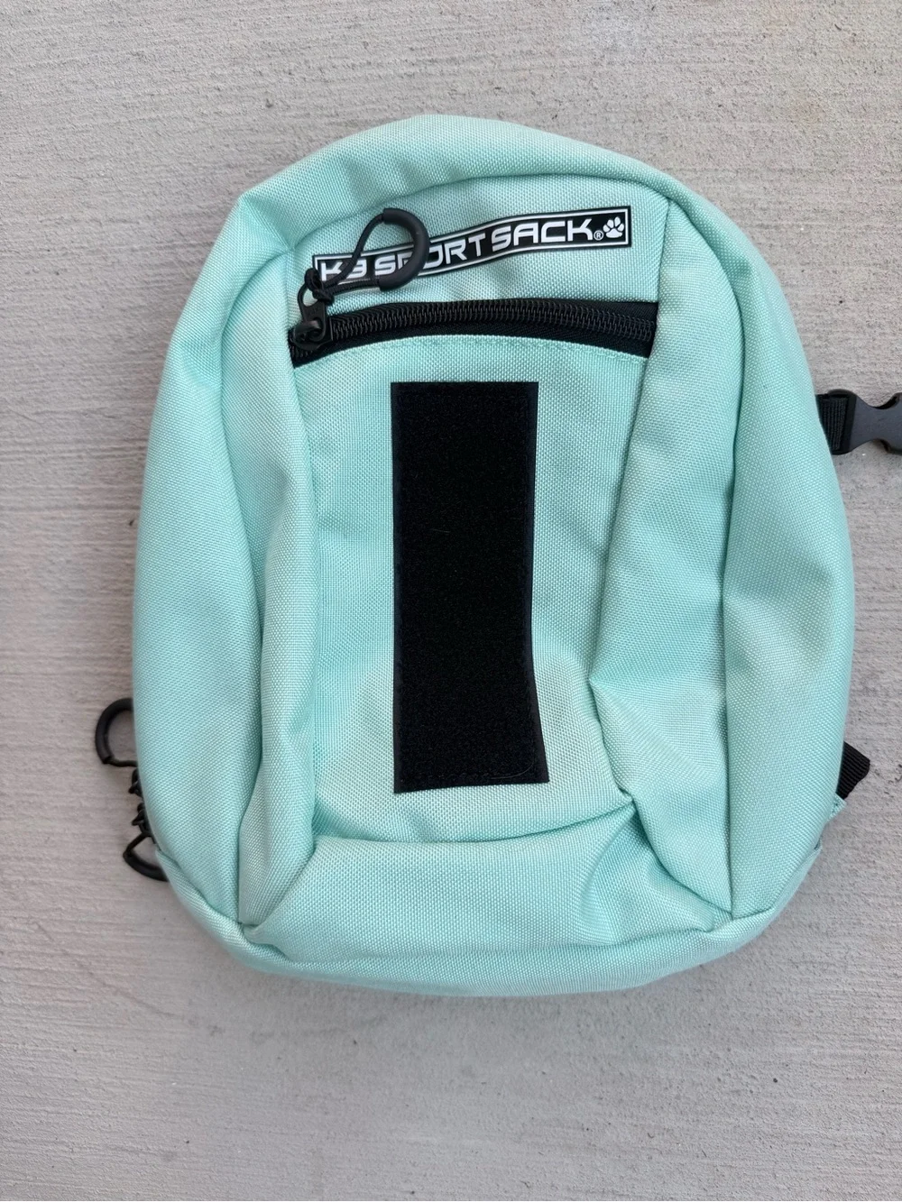 K9 Sport Sack Plus 2 Forward Facing Dog Carrier Backpack, Mint, Small